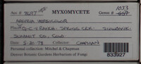 Image Associated With the Occurence